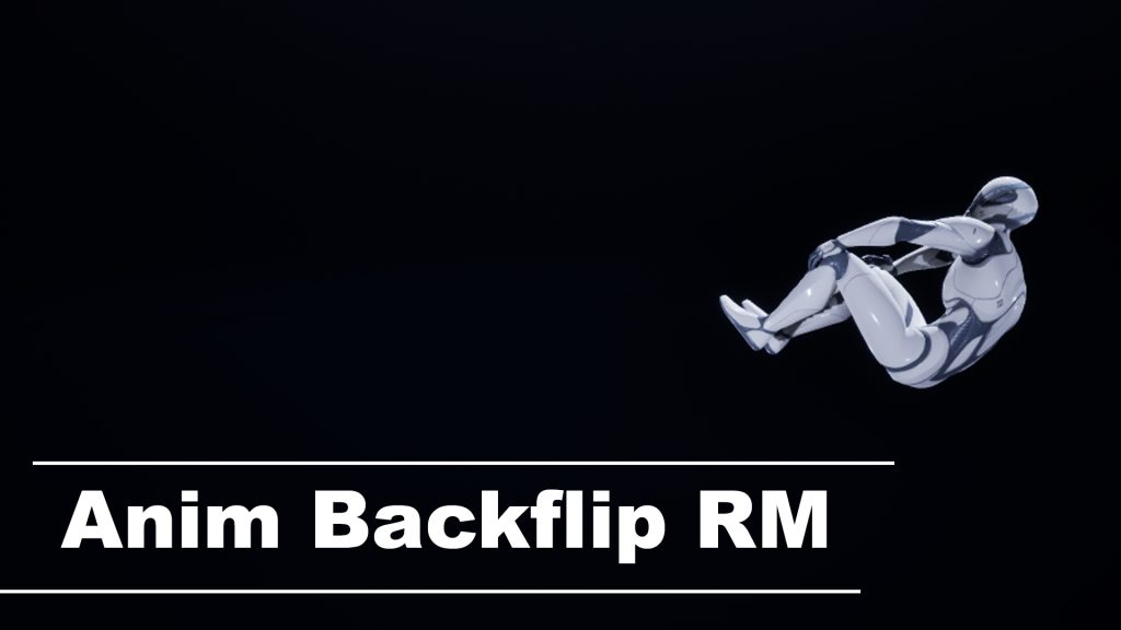 Anim Backflip RM