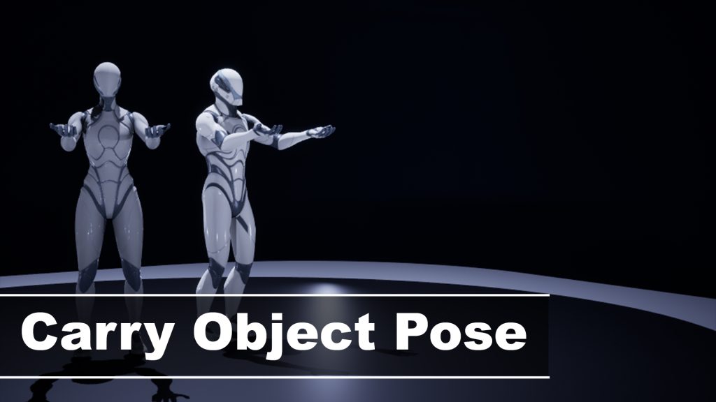 Carry Object Pose